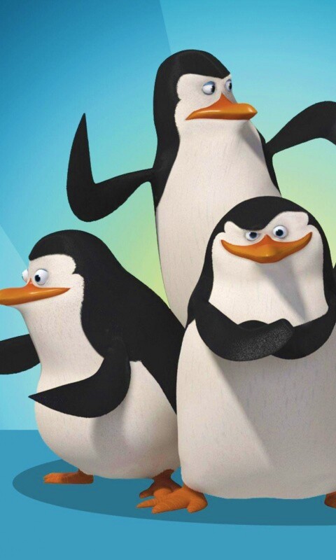 Мадагаскарские пингвины обои