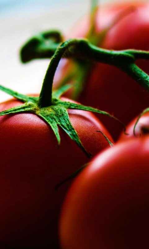 Аппетитные помидоры обои