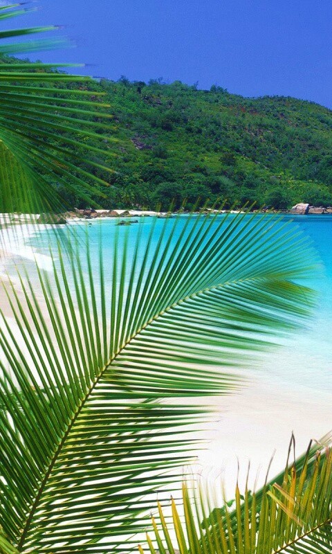 Лазурная лагуна обои