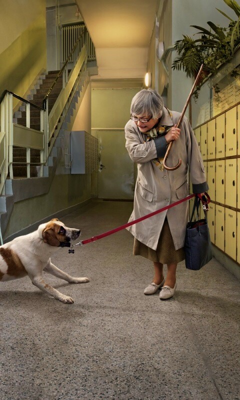 Непослушная собака обои