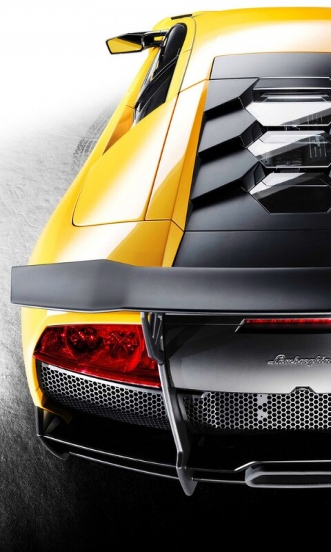 Lamborghini Murcielago обои