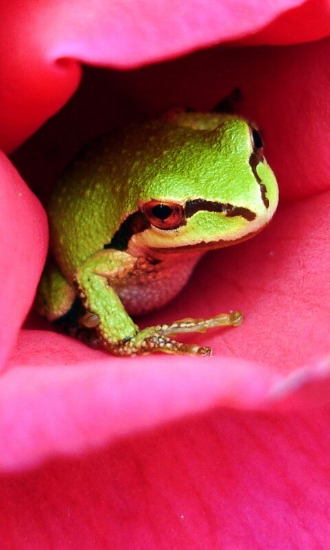 Куда это ты смотришь? обои