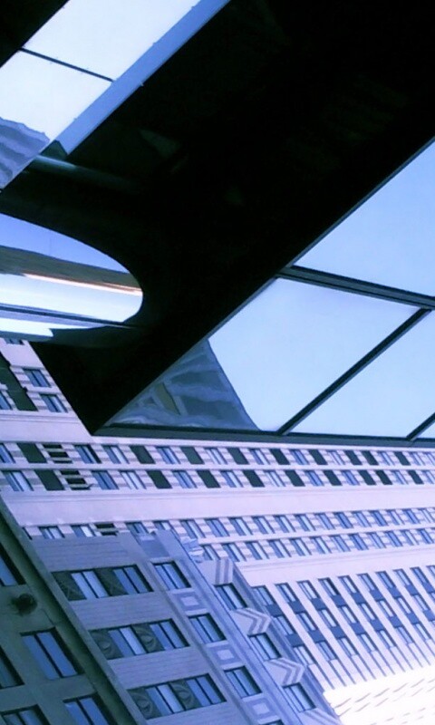 Взгляд вверх обои