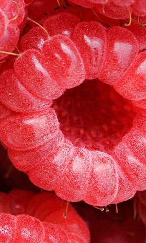 Малина обои