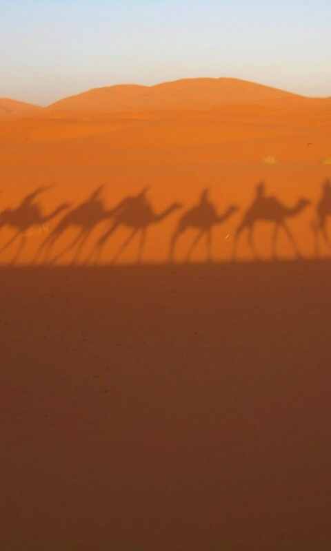 Караван обои