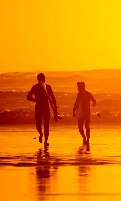 Серфингисты обои