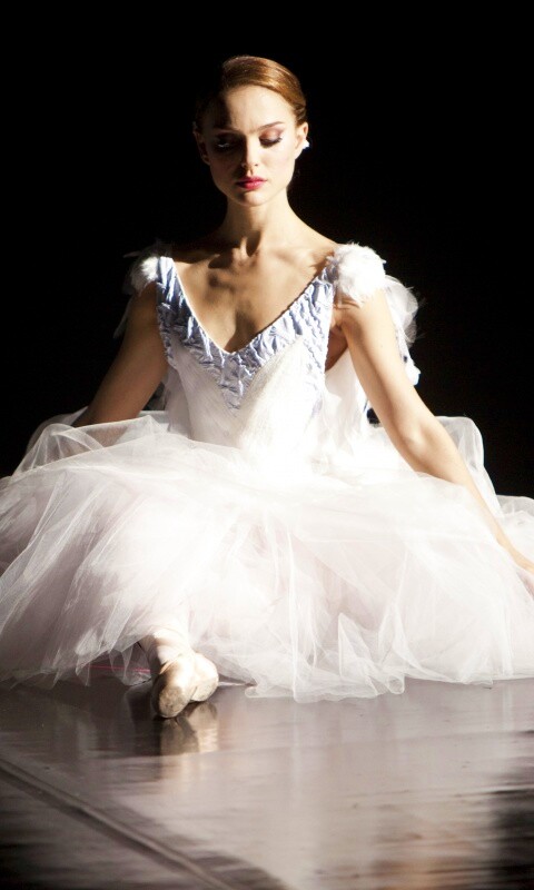 Черный лебедь обои