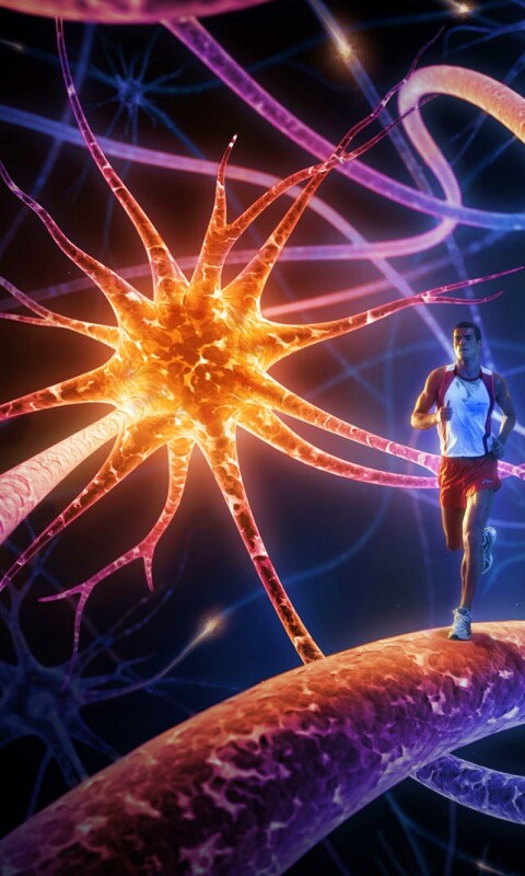 Бег мыслей обои