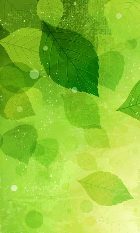 Прозрачные листья обои