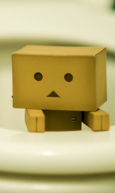 Danbo в унитазе обои