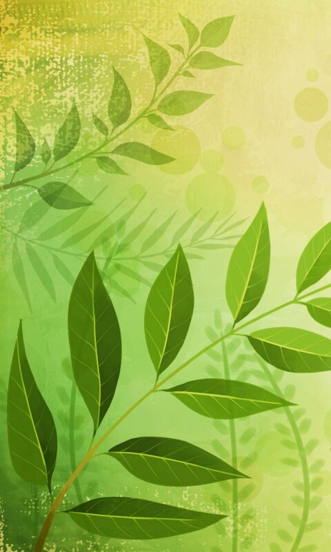 Веточка молодых листьев обои