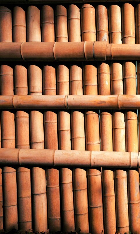 Бамбук обои