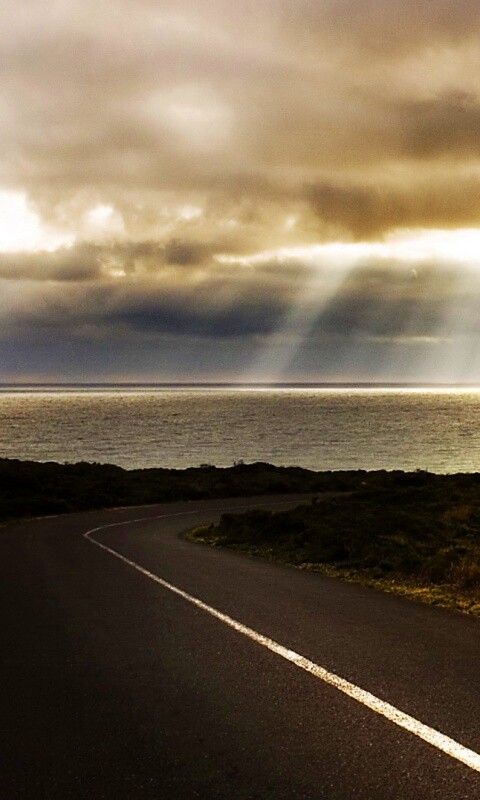 Дорога обои