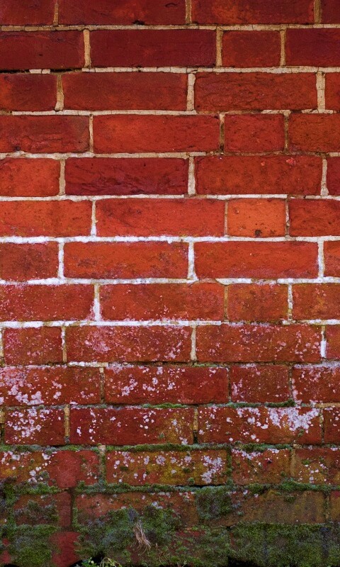 Старая кирпичная стена обои
