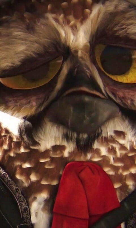 Совы-мариачи из Ранго обои