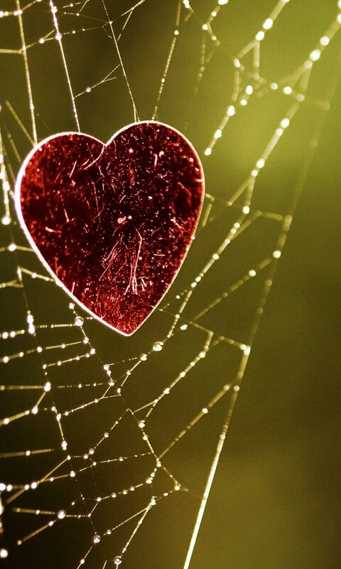 Запутавшаяся любовь.. обои