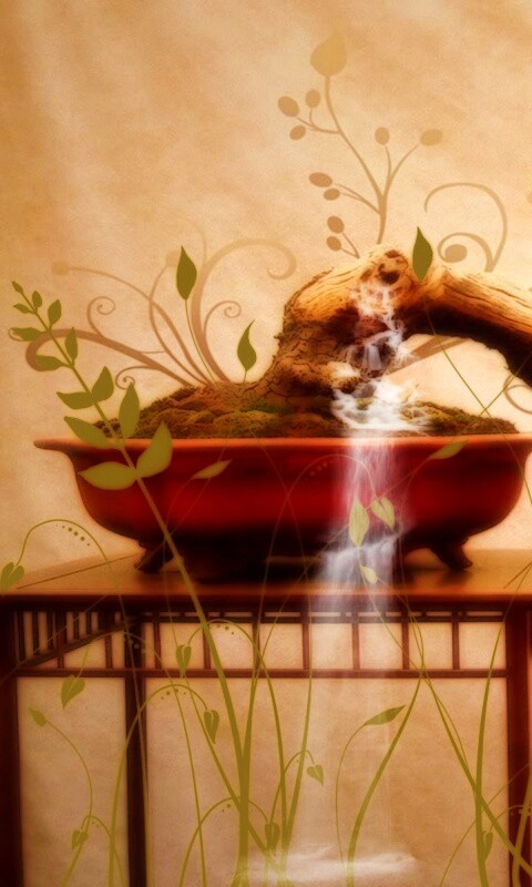 Карликовое дерево обои