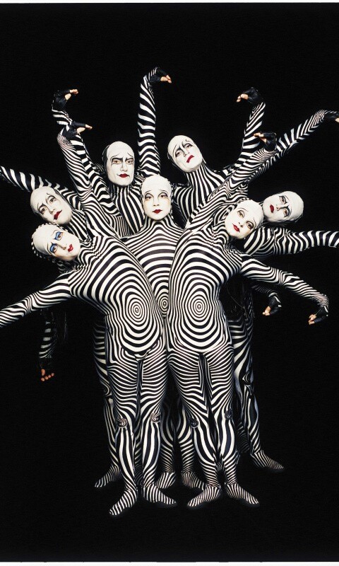 Зеброиды (актеры цирка дю солей) обои