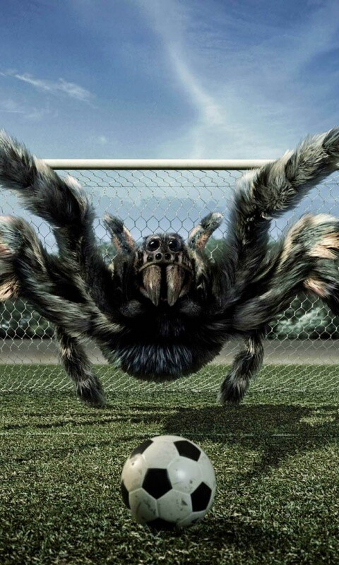 Вратарь обои