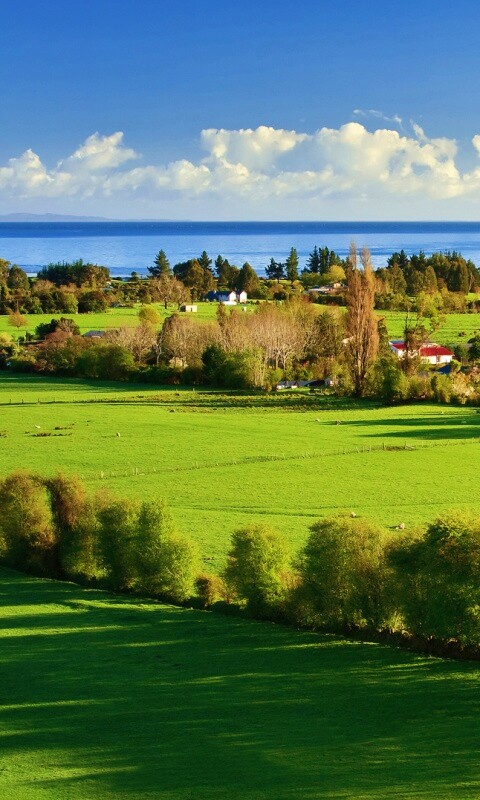 Сельская природа обои