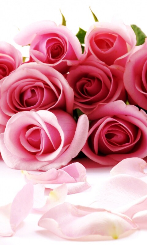 Букет роз обои