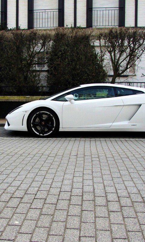Белый Lamborghini обои