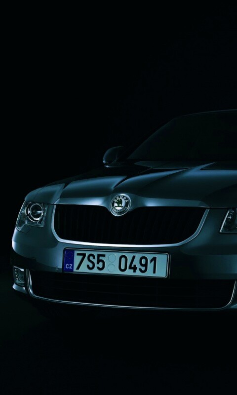 Шкода в темноте обои