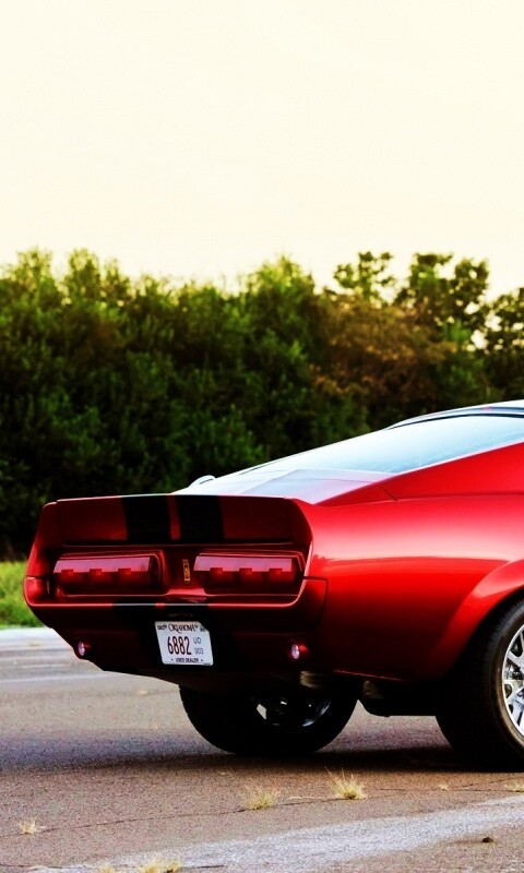 Shelby GT500 CR обои