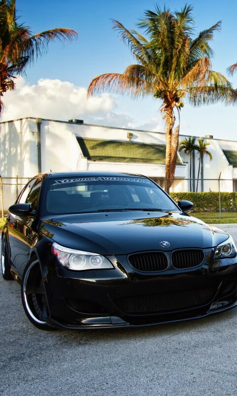 Две БМВ обои