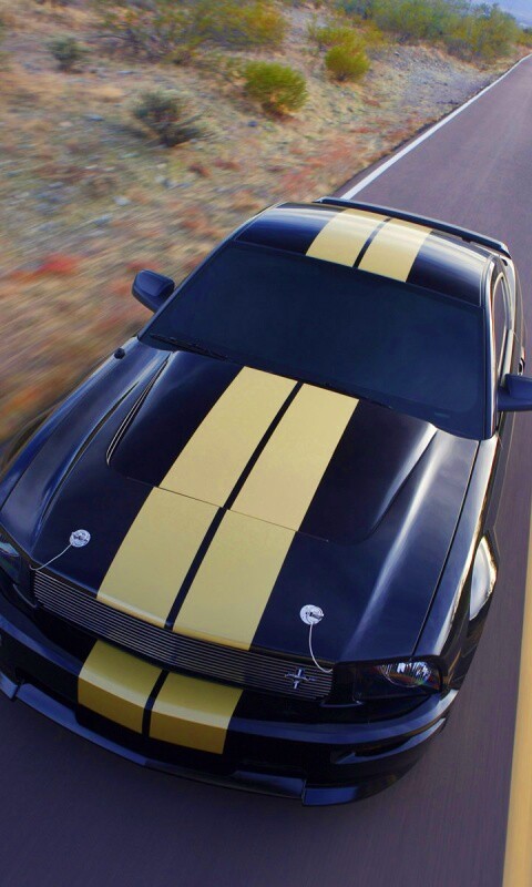 Ford Mustang  с гоночными полосками обои