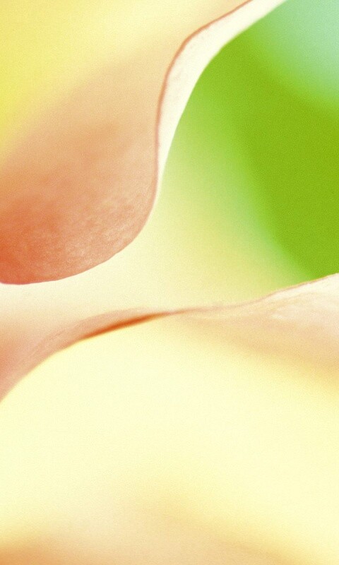 Оттенки природы обои