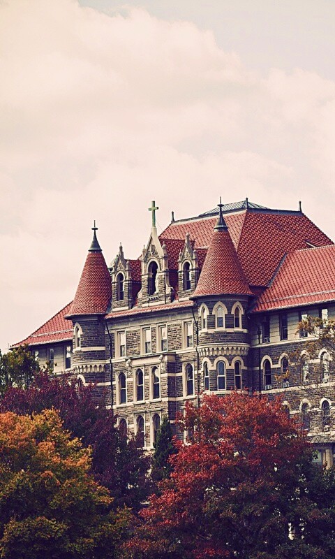 Колледж обои