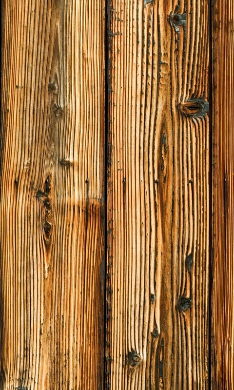 Фактура дерева обои