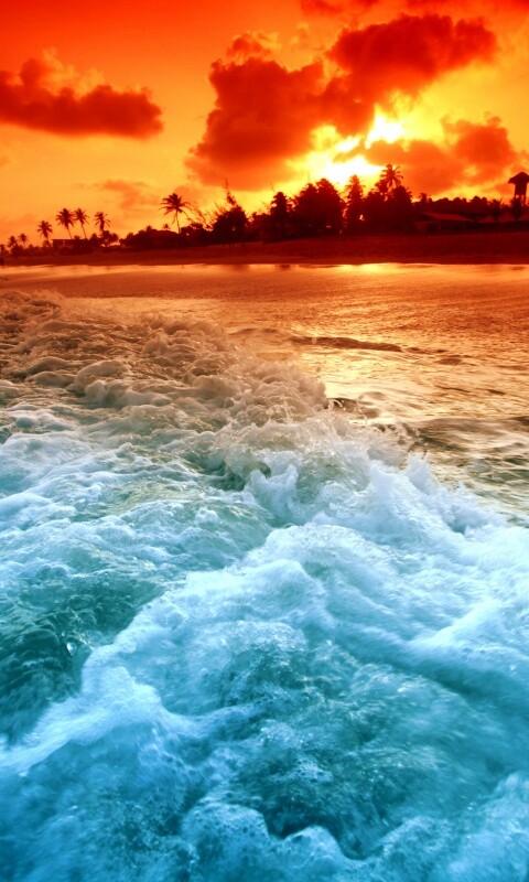 Огненный пляж обои