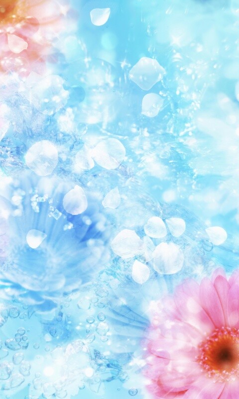 Цветочная эйфория обои