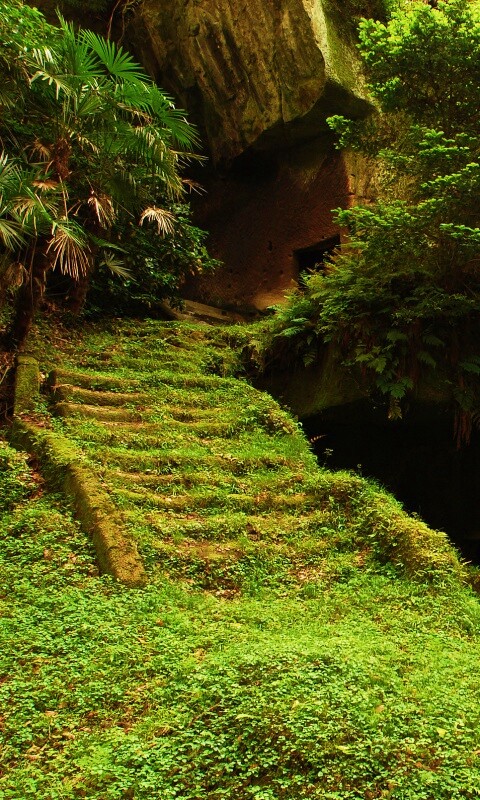 Старинный лесной храм обои