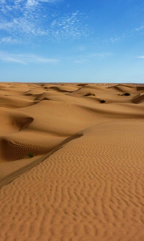 Пустыня до самого горизонта обои