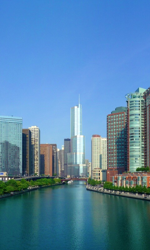 Вид на Чикаго обои