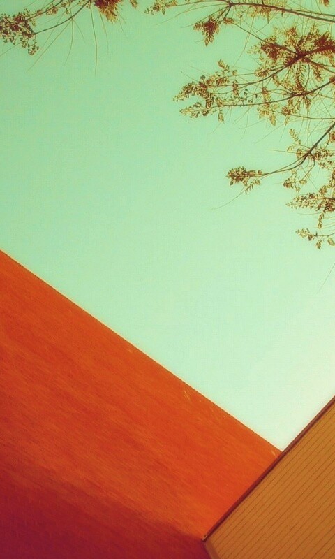 Закругленная стена обои