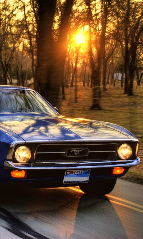 Мустанг обои