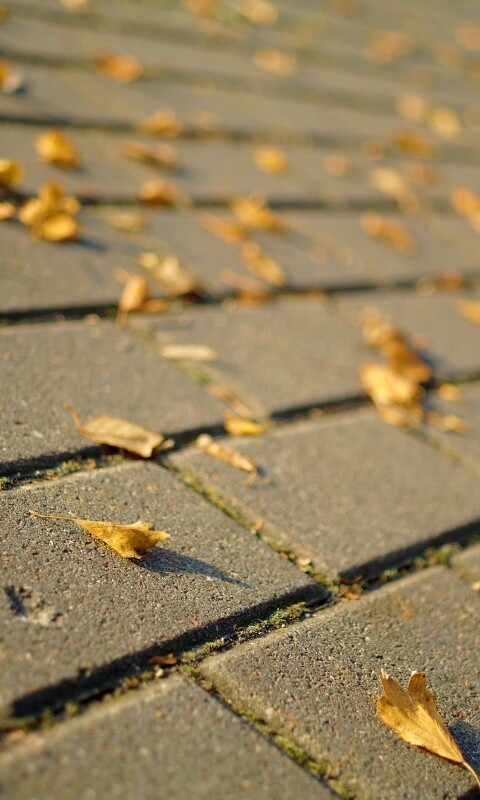 Тротуар обои