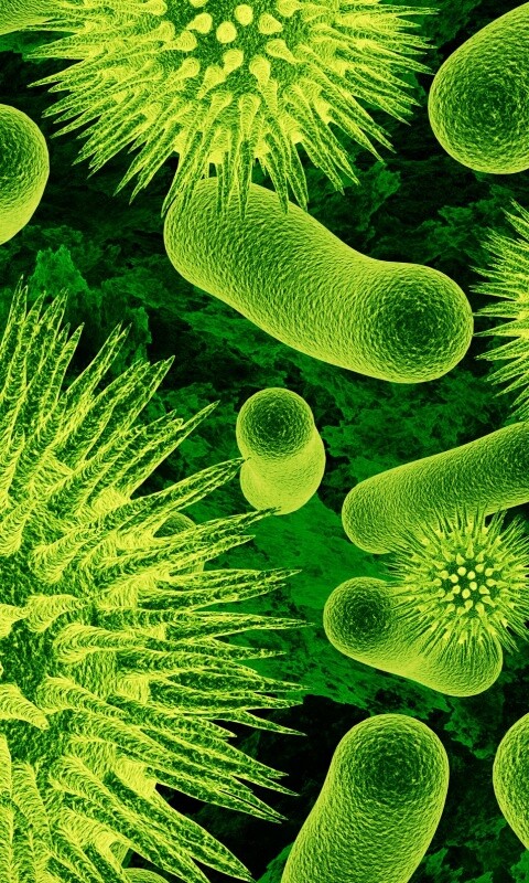 Бактерии обои
