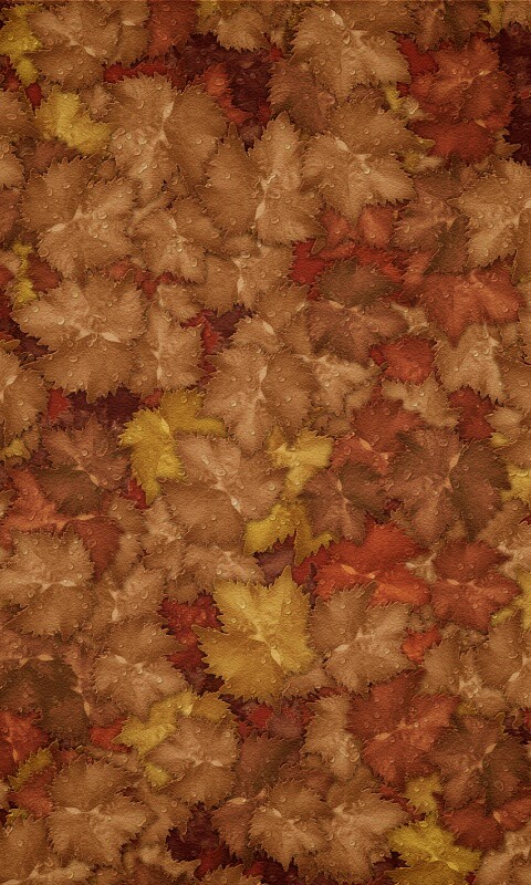 Осенние листья обои