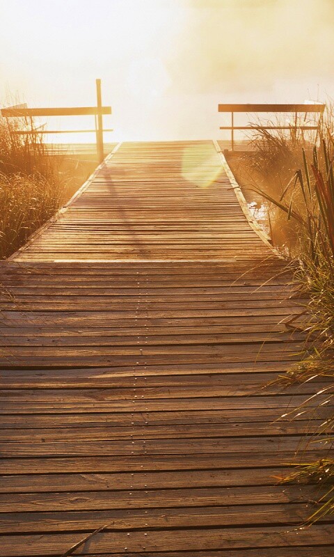 Выход к реке обои