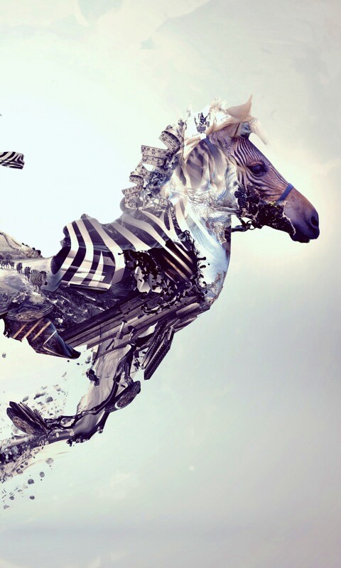 Зебра и бонсай обои