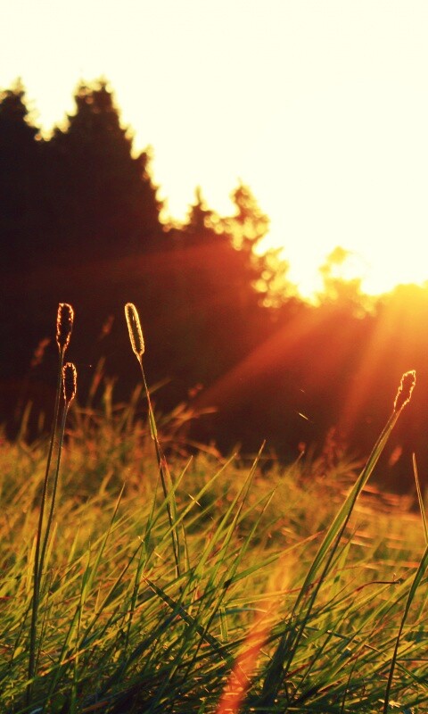 Красота природы обои