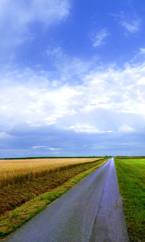 Сельский пейзаж обои