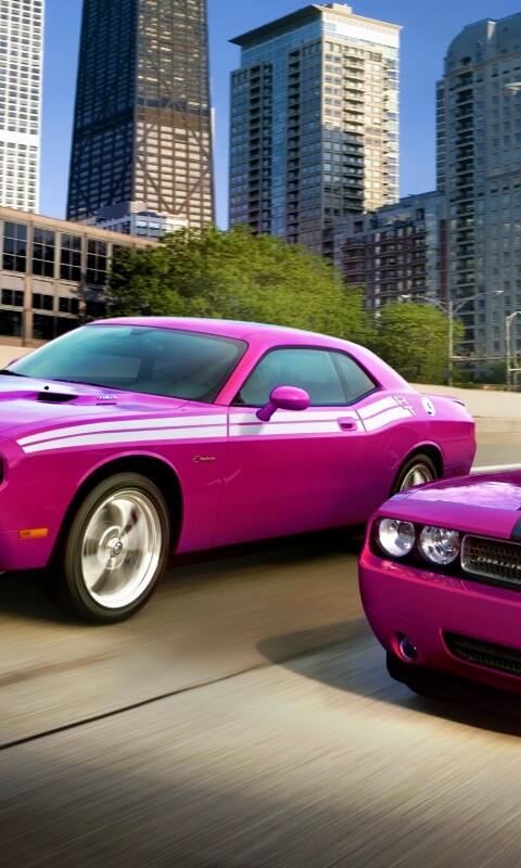 Два розовых мускулкара обои