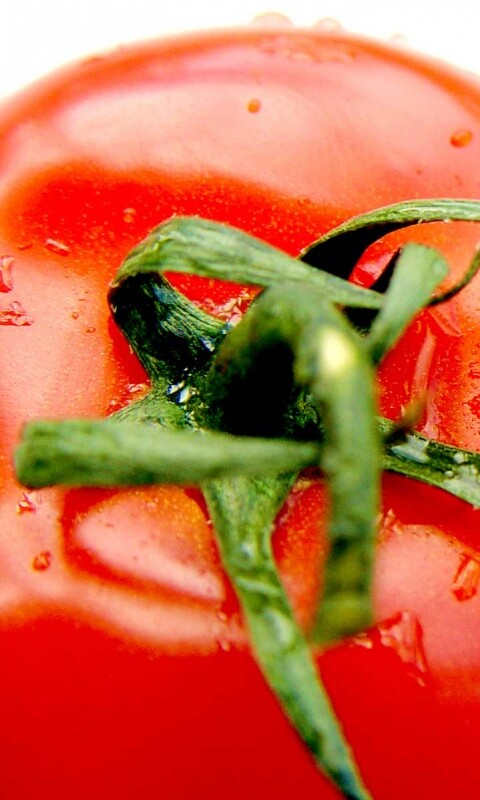 Свежая помидорка обои