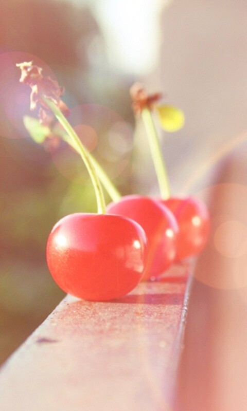 Вишенки на перилах обои